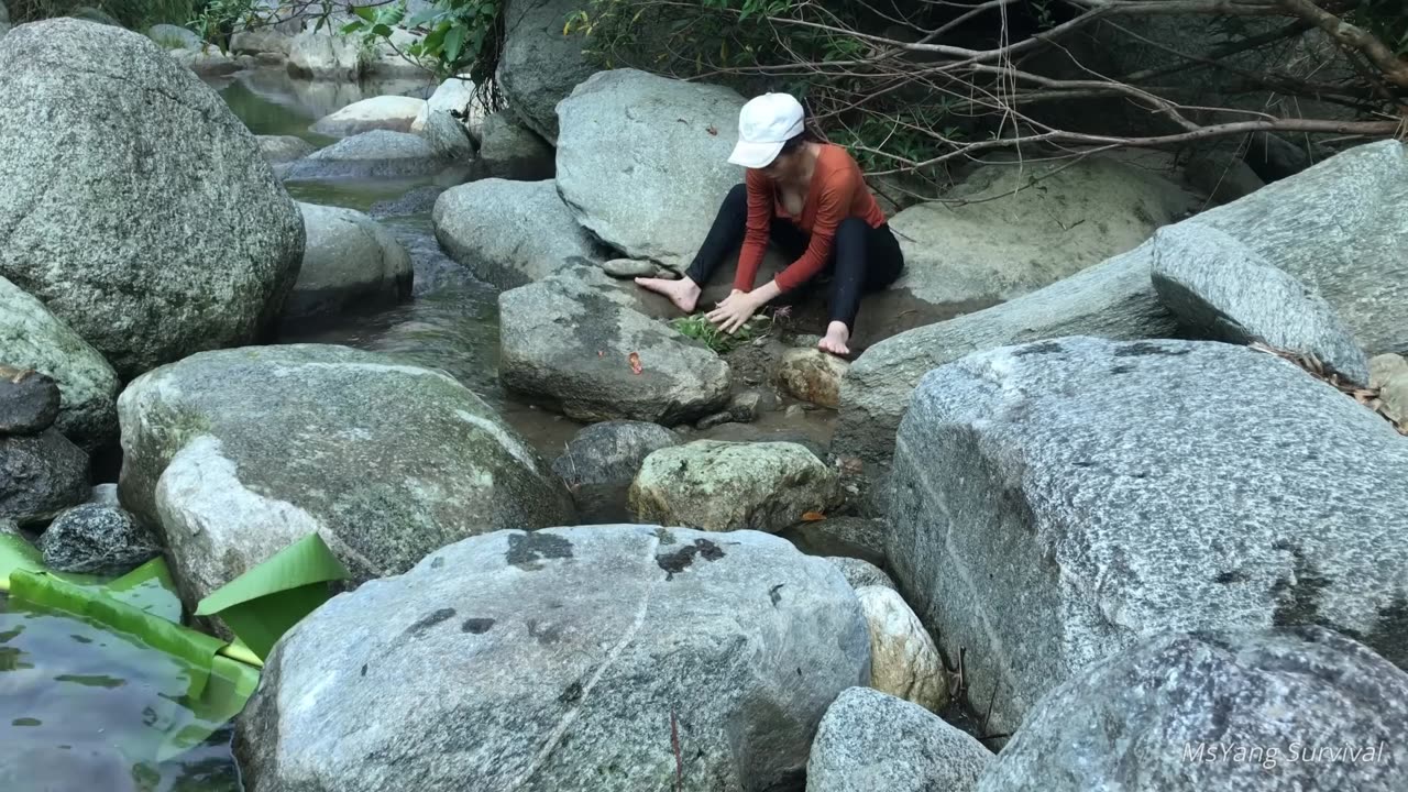 survival to the jungle