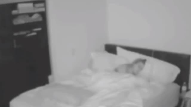 Algo de errado não está certo parte 11