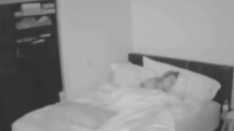 Algo de errado não está certo parte 11