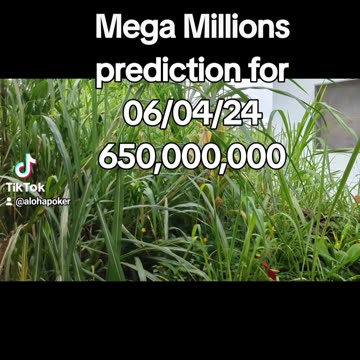 Mega Millions prediction for 06/04/24