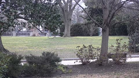 0679USCG00SEDriveExit_2021-01-06_09h40min17s177ms.mp4