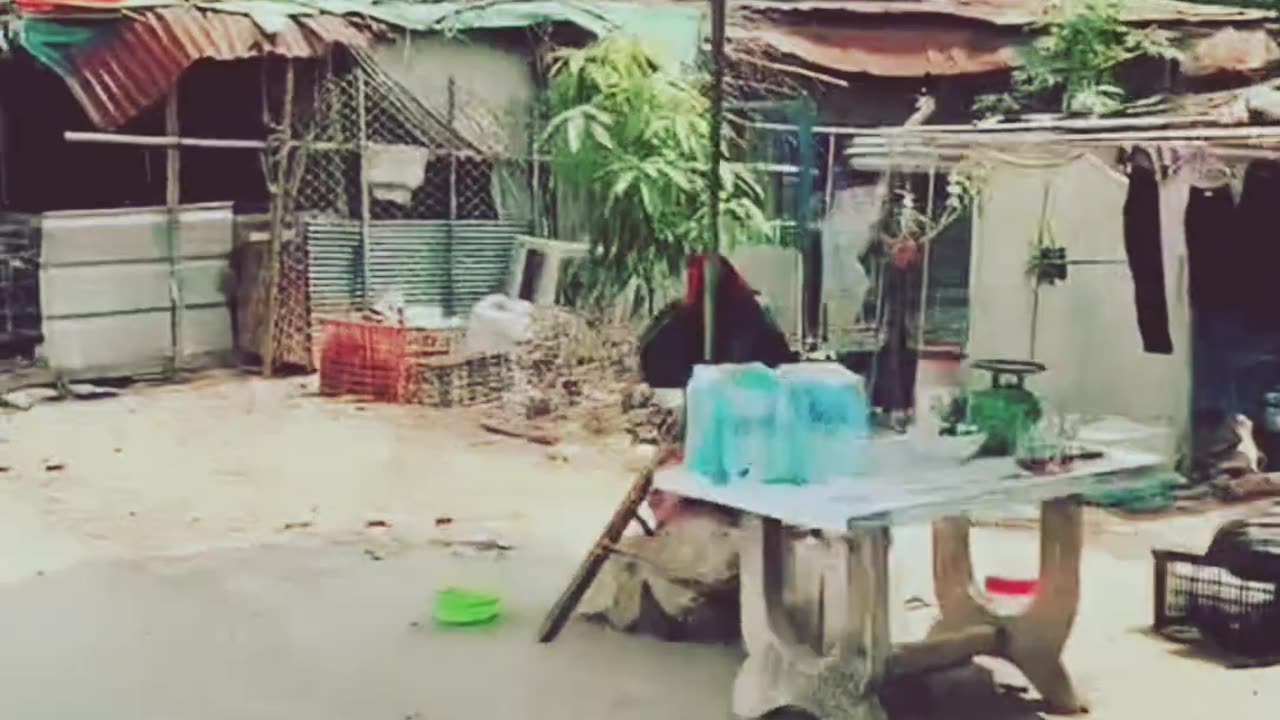 Nwe Mini vilog watch the end