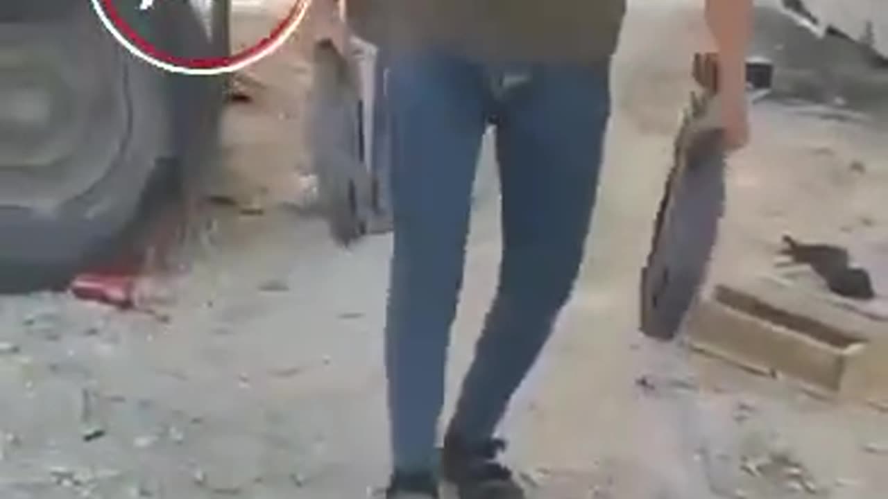 What's happening in Gaza