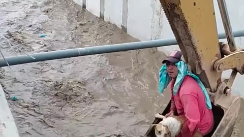 They saved a dog from drowning | This video made my day