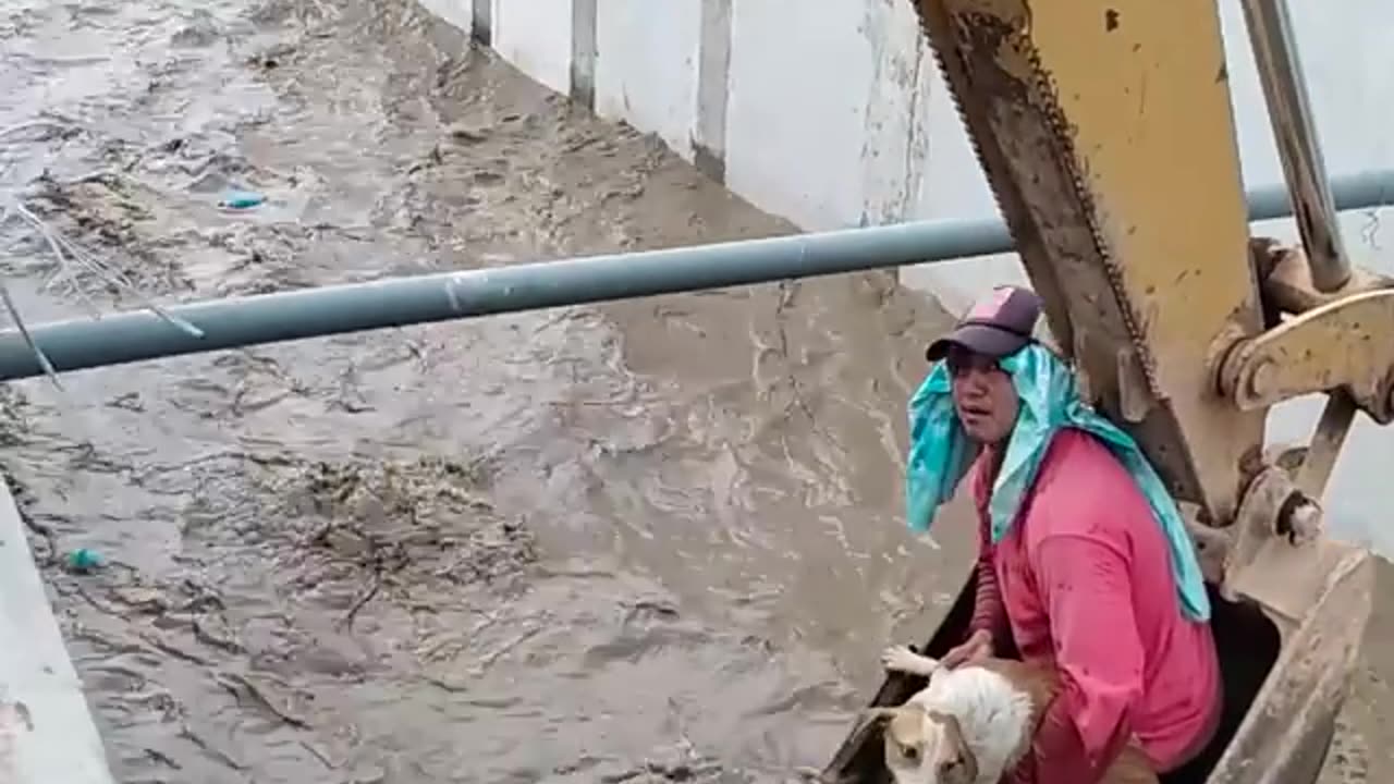 They saved a dog from drowning | This video made my day