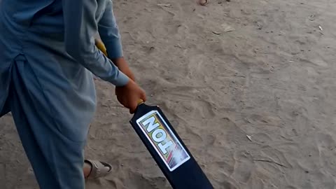 Gully cricket with kids