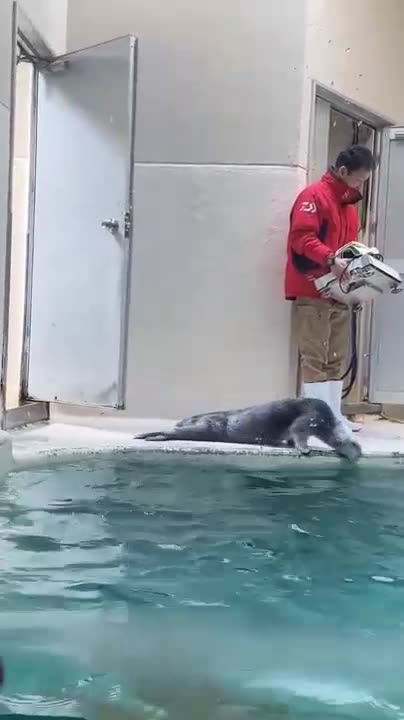 Very thoughtful and helpful Otter 😊😊😍