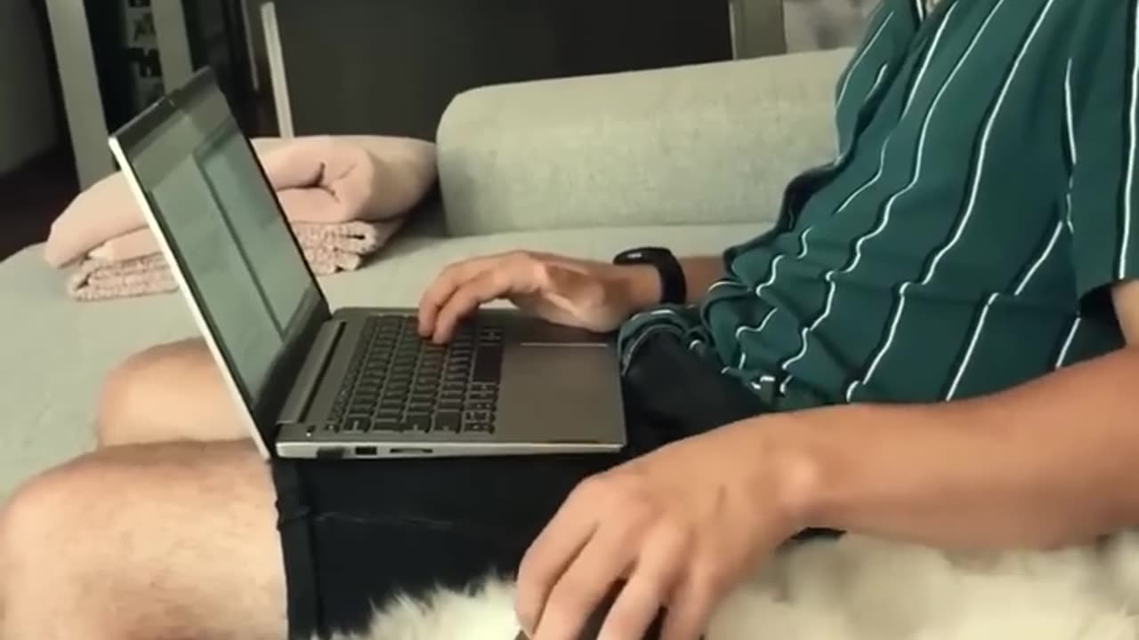 Small and funny cats πΊπ