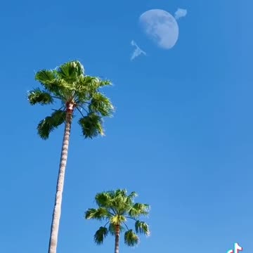 An Unknown Object Flying Through the Moon
