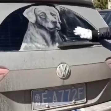 ARTIST CREATE DOGPORTRAIT ON DUST OF CAR