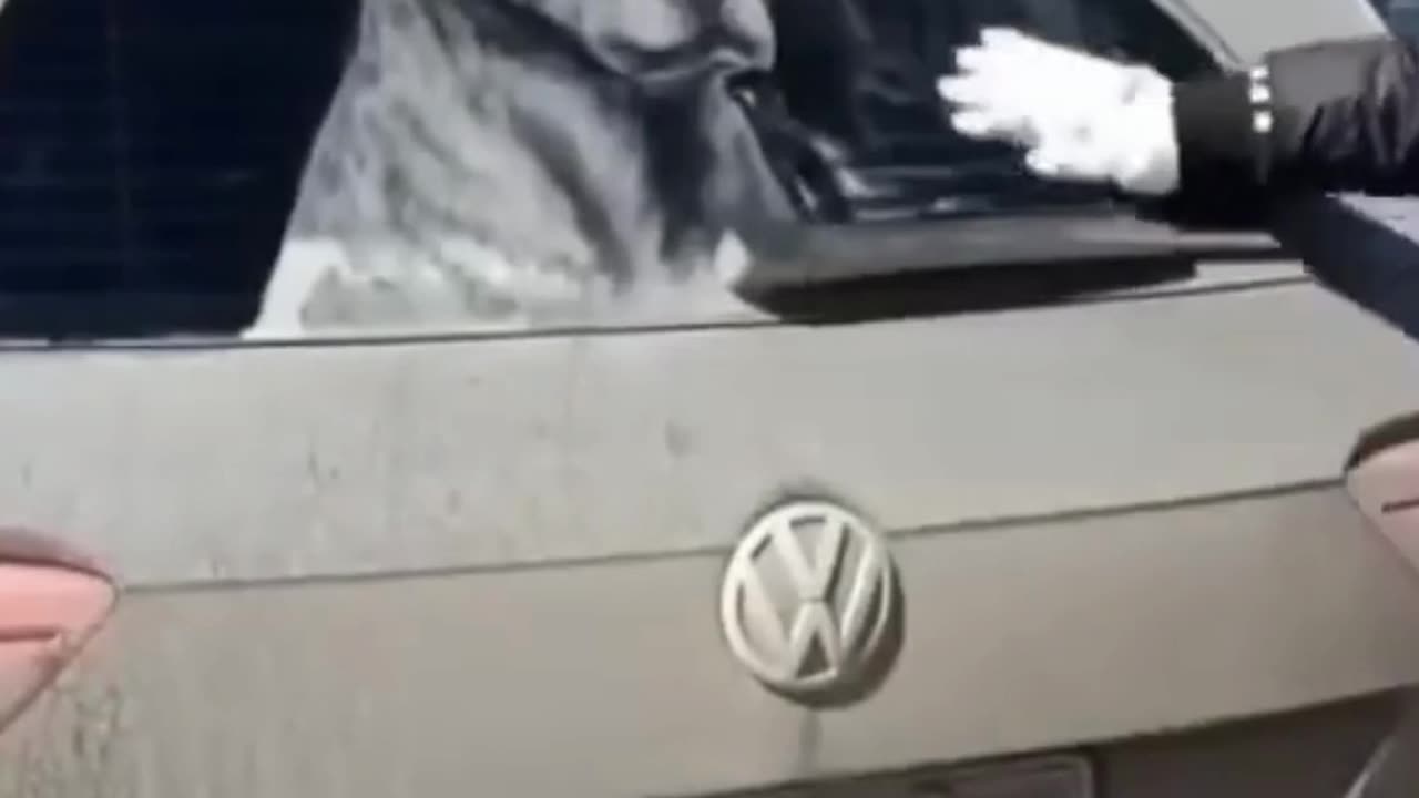 ARTIST CREATE DOGPORTRAIT ON DUST OF CAR