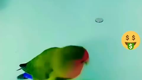 $$$Funny Parrot saves Money$$$