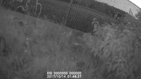 WAR ZONE HOMELESS CAMP SHOOTING