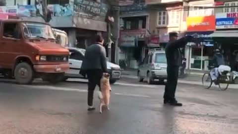 the most surprising 15 seconds of my life by far