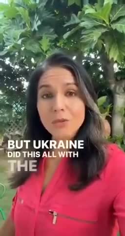 Tulsi Gabbard on Ukraine