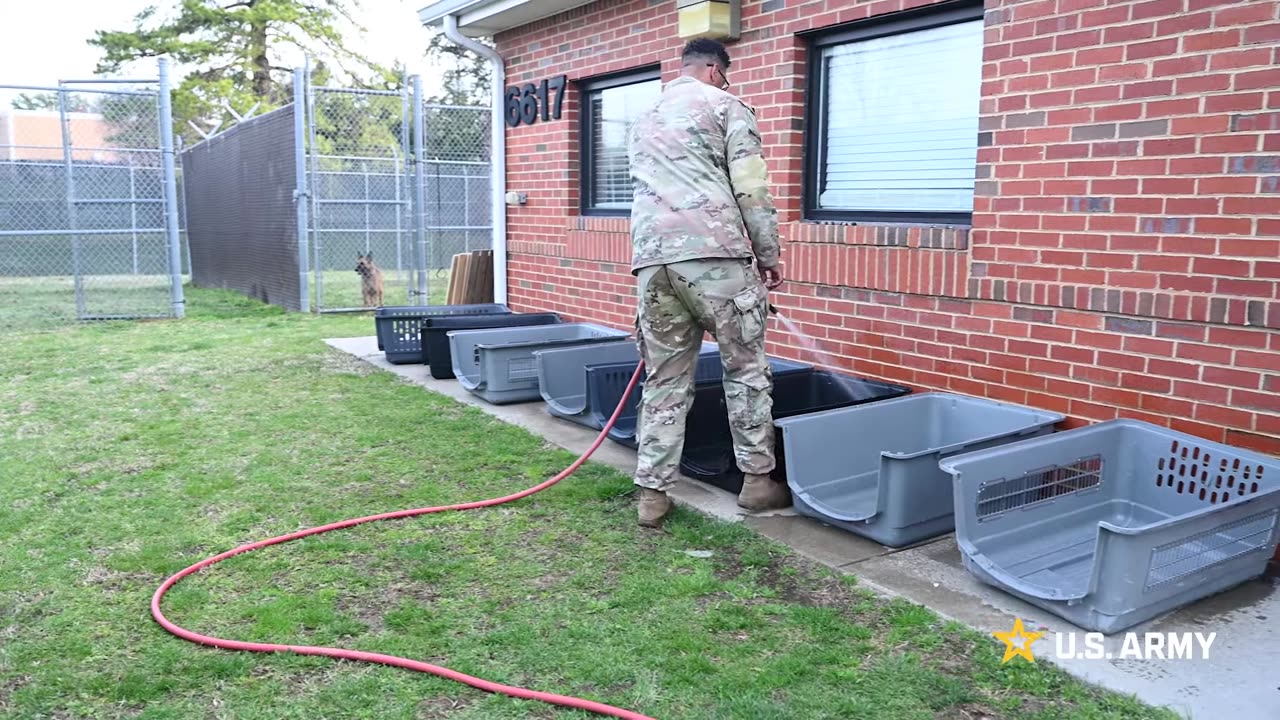 Day in the Life Military Working Dog Handler US Army