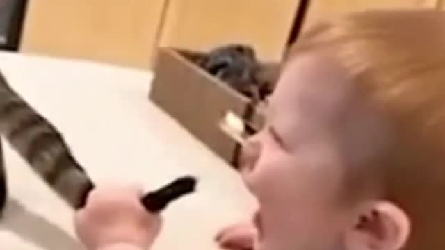 Cat meets baby