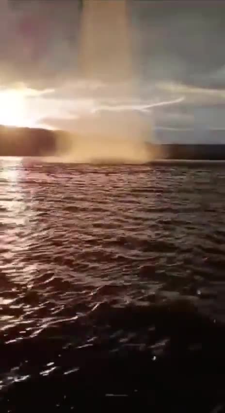 Joni Job - Anybody ?