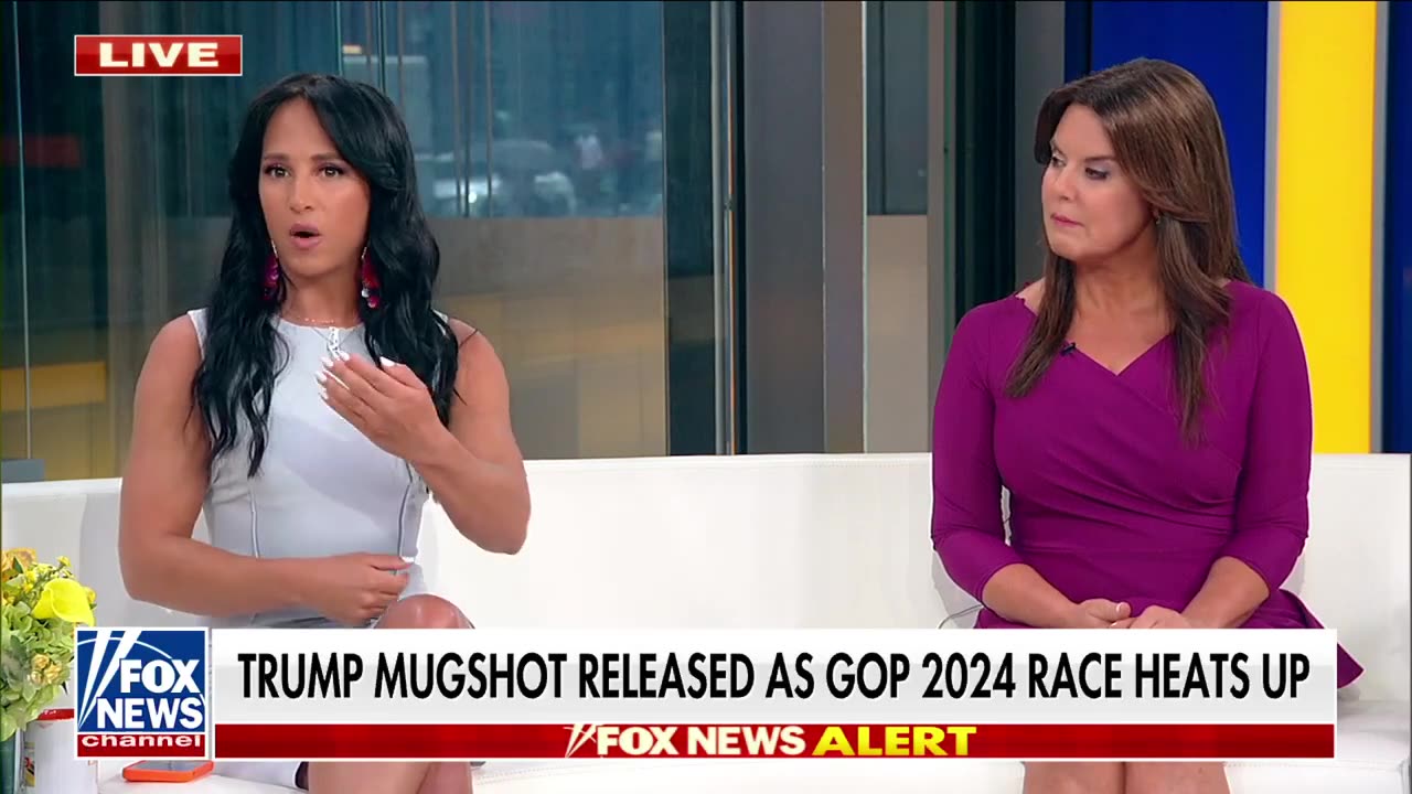 'LOW POINT': McEnany rips Biden for fundraising off Trump arrest