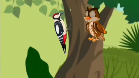 Owl & woodpecker