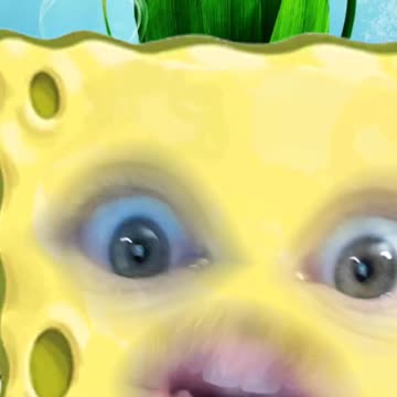 Hey, That's my Pineapple!