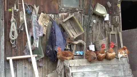 Romania, Village Life in Transylvania