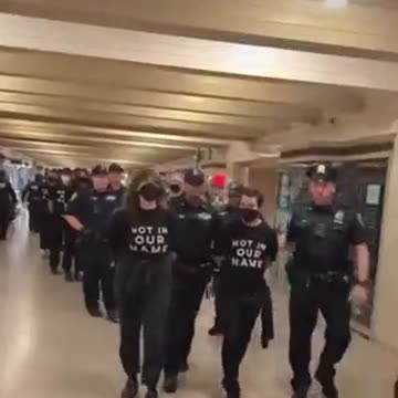 Progressives demanding a ceasefire