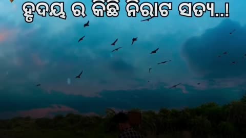 Odia status video Motivational quotes video by Manas Pradhan