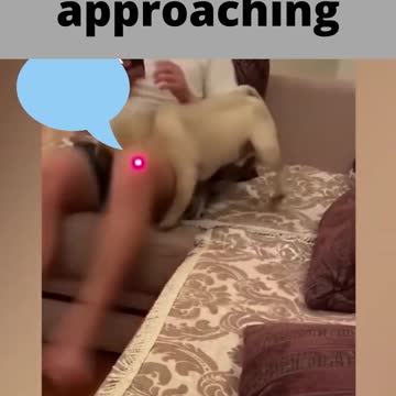 careful danger is approaching