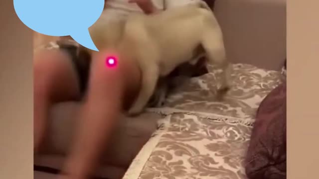 careful danger is approaching