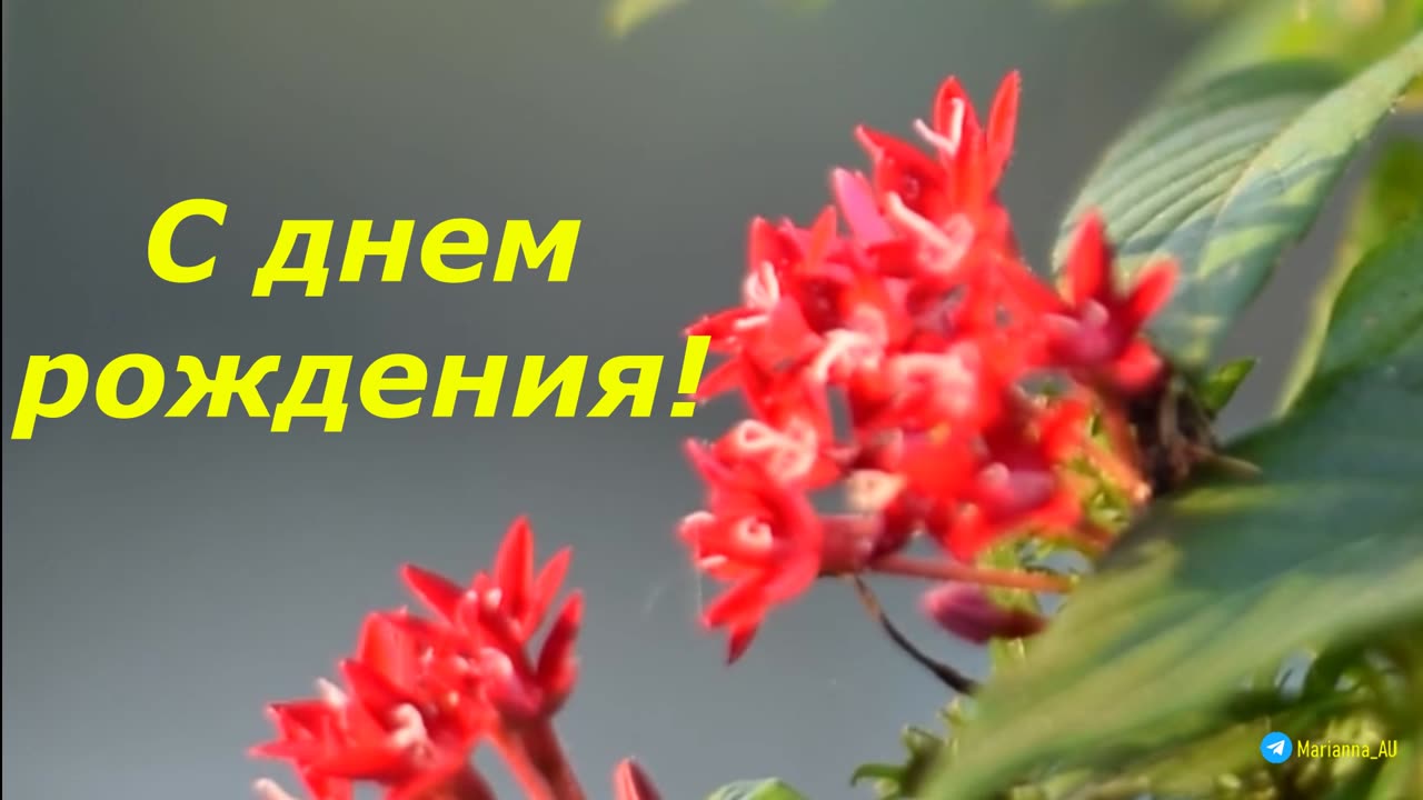 С днем рождения! ❤️🌺❤️