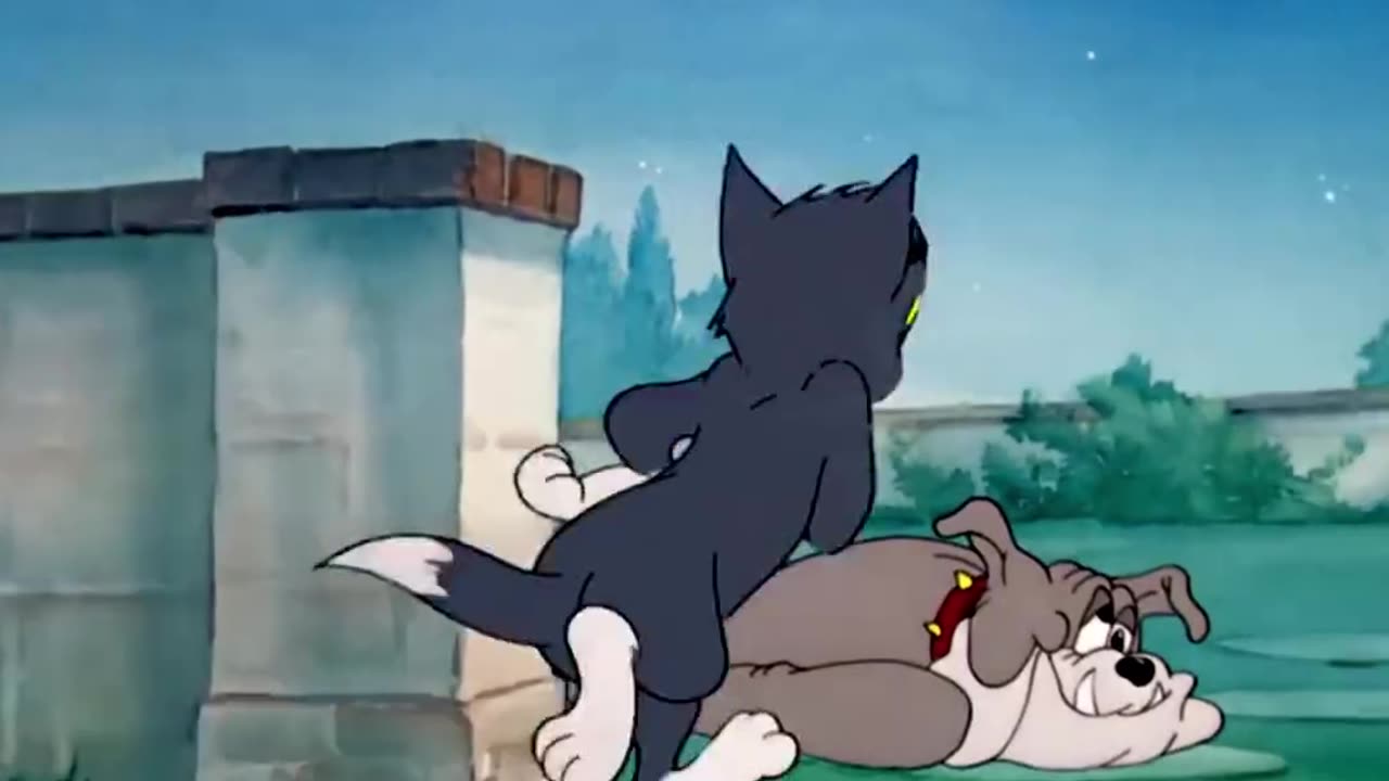 The Tom and jerry cartoon for kids