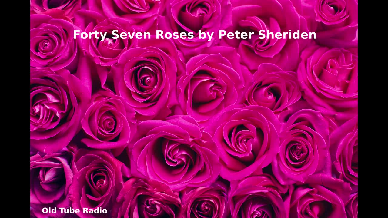 Forty Seven Roses by Peter Sheriden