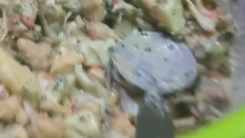 2nd roza | 2023| sehri or iftari