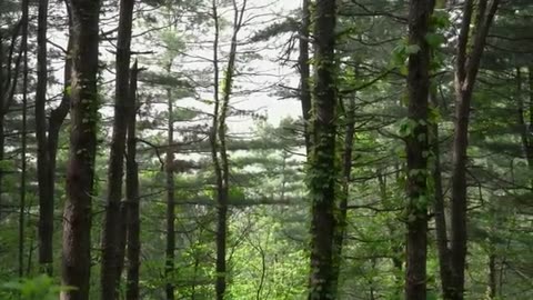 Camping in rainstorm