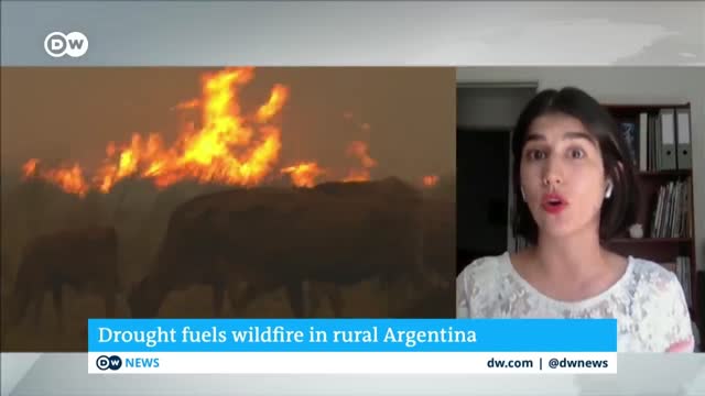 Firefighters in northern Argentina are struggling to contain massive wildfires | DW News