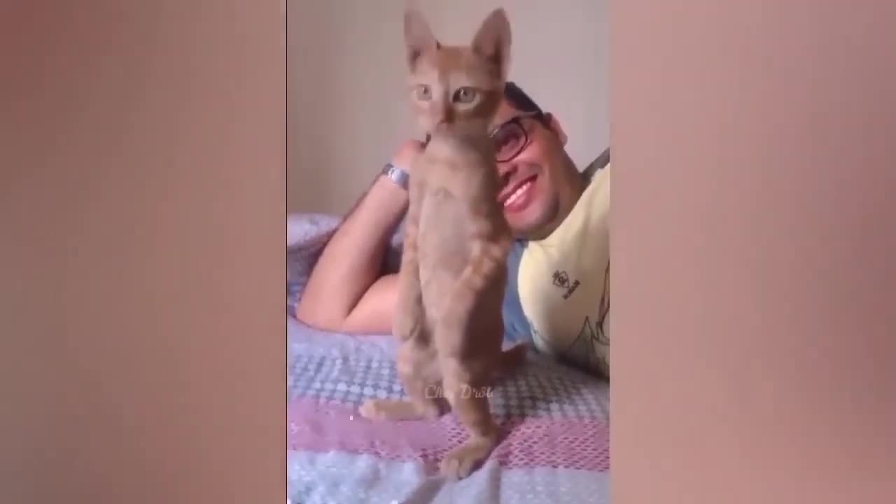 Best funny animals video of the year.