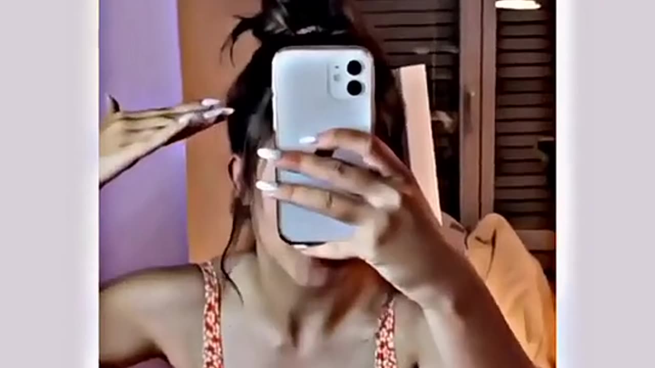 Reels