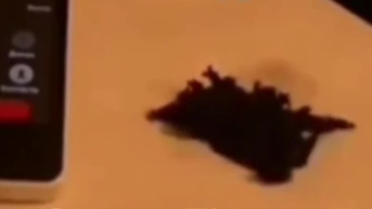 Is this proof of Venom?