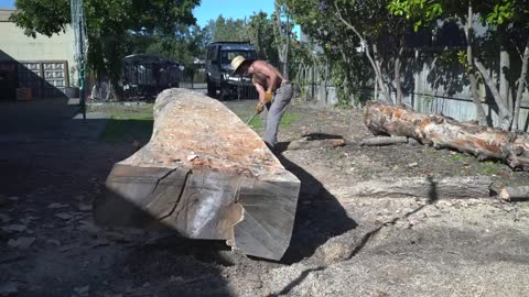 DUGOUT CANOE BUILD - Timelapse, by Outbackmike