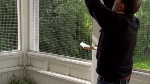 Viral #viral viralvideo