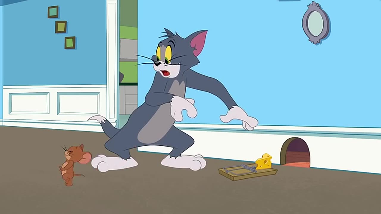 tom and jerry cartoon