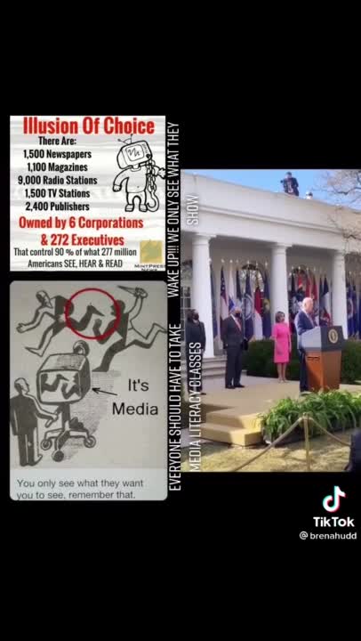 We Have The Illusions of Reality (fake white house)