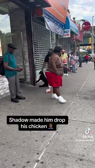Shadow made him drop his chicken