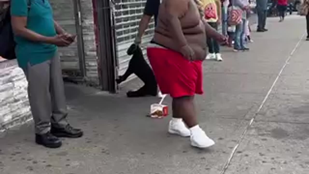 Shadow made him drop his chicken