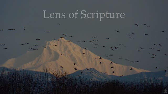 Devotional In 30 Seconds: Boldness Comes From The Lord
