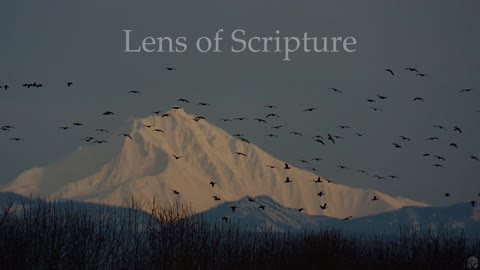 Devotional In 30 Seconds: Boldness Comes From The Lord