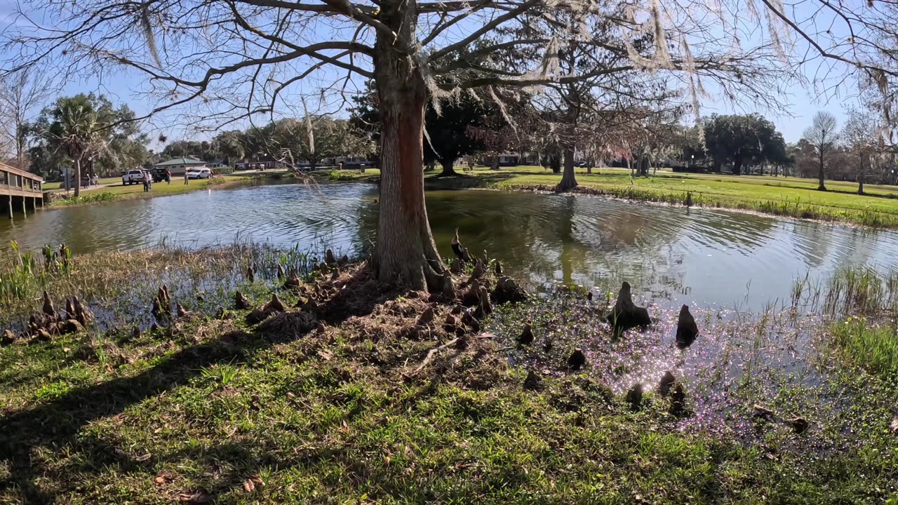 Venetian Gardens, Leesburg Florida