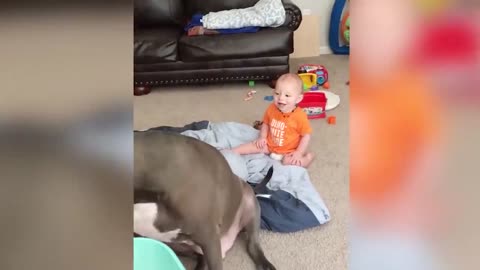 Cute babies and dog's, funny moments 😅😅