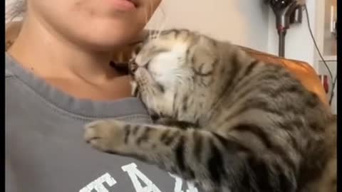 Cats Funny Seen in My Life 😻❤️